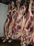 Продаю Блочная говядина  ГОСТ, ТУ, blak angus, HEREFORD, шаролезская, лимузинская, Wagyu, б/к,  зам, в Новосибирске  доставка из г.Новосибирск