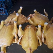 Куриные Тушки ГОСТ н/к, охл,  в Воронеже  доставка из г.Воронеж