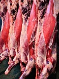 Продаю Полутуши Говяжьи коров  ГОСТ, HEREFORD, н/к,  зам, в Тюмени  доставка из г.Тюмень