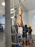 Продаю Полутуши Говяжьи РФ, ГОСТ, н/к,  Охл/Зам,в Ростове-на-Дону  Ростов-на-Дону