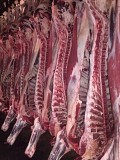 Продаю Полутуши Говяжьи РФ, ГОСТ, н/к,  Охл/Зам,в Кулунде  доставка из г.Кулунда
