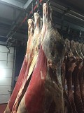Продаю Полутуши Говяжьи Белларусия, ГОСТ, н/к,  зам,в Слуцке  Слуцк