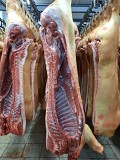 Продаю Полутуши Свиные Сантарин., н/к, Охл/Зам, категория - II (мясная – молодняк) в Москве  доставка из г.Москва