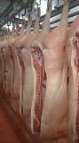 Продаю Полутуши Свиные н/к, Охл/Зам, категория - I (беконная), II (мясная – молодняк) в Москве  Москва