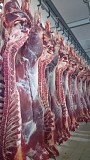 Продаю Полутуши Говяжьи  ГОСТ, ТУ, н/к,  Охл/Зам, в Краснодаре  доставка из г.Краснодар