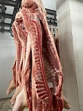 Продаю Полутуши Свиные н/к, охл, категория - II (мясная – молодняк) в Мелеузе  Мелеуз