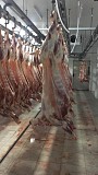 Продажа: Туши Бараньи (Ягнятины) , н/к,  зам, в Красноярске  Красноярск