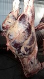 Продаю Полутуши Говяжьи  ГОСТ, н/к,  зам, в Омске  доставка из г.Омск