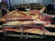Полутуши Говяжьи коров, бычков  ГОСТ, н/к,  зам, в Барнауле  доставка из г.Барнаул