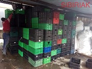 Купим ящики вино-водочные, молочные, мясные Новосибирск