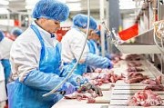 Ищем разнорабочих в мясной цех доставка из г.Челябинск