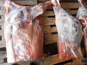 Мясо свинина говядина разделка субпродукты Тюмень