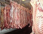Предлагаем Полутуши говяжьи Агрыз
