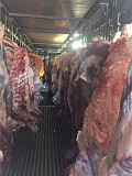 Продаю Полутуши Говяжьи коров  ГОСТ, Халяль, н/к,  охл, в Екатеринбурге  доставка из г.Екатеринбург
