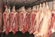 Продаю Полутуши Свиные н/к, охл, категория - I (беконная), II (мясная – молодняк) в Москве  доставка из г.Москва