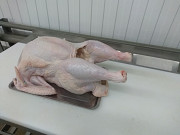 Куплю Куриные Тушки б/к, охл, в Москве Москва