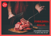 Продаю Жилованная говядина  ГОСТ, Халяль, б/к,  Охл/Зам, в Москве  доставка из г.Москва