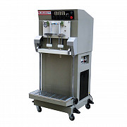 Бескамерная вакуумная машина DZQ-600 К/L с инертным газом Ростов-на-Дону