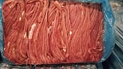 Продаю Кишки свиные РФ зам, от 100 кг, от 5 тонн, оптом  в Саратове  Саратов