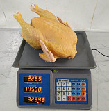 Цыпленок бройлер фермерский Краснодар