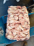 Продаю Свиные субпродукты в ассортименте РФ зам, от 20 кг, от 100 кг, оптом  в Челябинске  доставка из г.Челябинск
