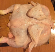 Куплю с истёк. сроками свинину, говядину, цб оптом Москва