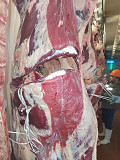  Куплю Полутуши Говяжьи бычков blak angus, HEREFORD, шаролезская, лимузинская, Wagyu, н/к,  охл, 400 руб.  в Москве  Москва