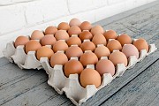 Предлагаем яйцо куриное Новомышастовская