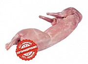 Предлагаем мясо кролика Пермь