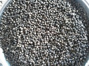 Перец черный горошек 500 г/л очищенный доставка из г.Иваново