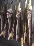 Свинина полутуши Гулькевичи