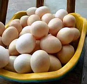 Предлагаем Яйцо куриное домашнее доставка из г.Алексин