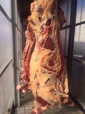 Говядина охлажденная в полутушах Ярославль