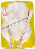Предлагаем Тушка цыплят-бройлеров охлажденная в лотке Белоусово