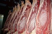 Говядина в полутушах 95+ охл. Москва