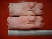 Закупаем свиные ноги Новосибирск