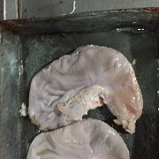 Купим свиные желудки Новосибирск