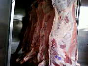 Закупаем Говяжьи полутуши Нижний Новгород