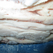 Купим шпик боковой, хребтовый от 20 т Первомайск