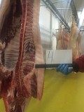 Свинина в полутушах 4ой категории Челябинск
