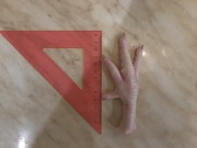 продам Лапы,любые куриные,свиные субпродкуты,продукцию Халяль ГОСТ-ЦБ Белгород