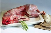 Продаем Мясо кролика Казань