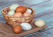 Куриное яйцо Покровское