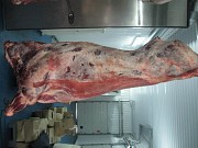 Быки,Коровы 1,2 кат Беларусь Санкт-Петербург