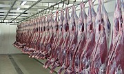 Продаем мясо Северного Оленя оптом и в розницу Санкт-Петербург