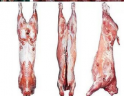 Куплю говядину туши Москва