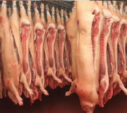 Купим Свинину полутуши Москва