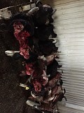 Головы говяжьи 2тонны срочно продам рассмотрю предложения Пенза