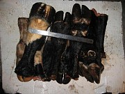 Купим ноги говяжьи необработанные Москва