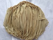  Куплю Книжка говяжья зам, от 100 кг  в Ростове-на-Дону  доставка из г.Ростов-на-Дону